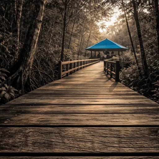 Berakas Forest goes luxury: a 20-year deal to create Brunei's first urban eco-resort
