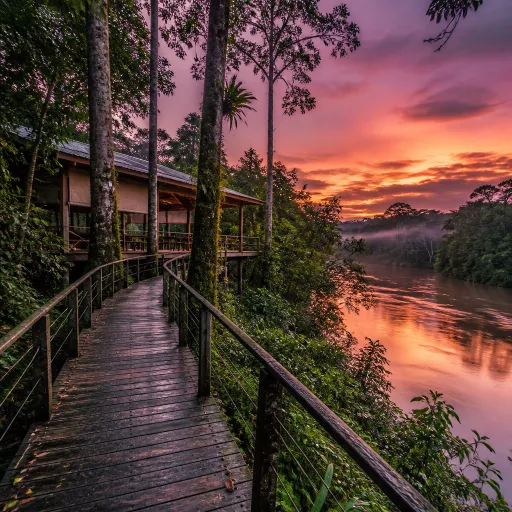 Temburong's eco-lodges put to the test: what a weekend in Brunei's primary forest actually feels like